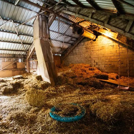 Berghof Steimel * Schmallenberg