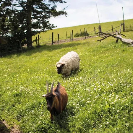 Berghof Steimel Apartman