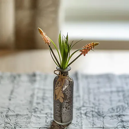 Apartman Berghof Steimel