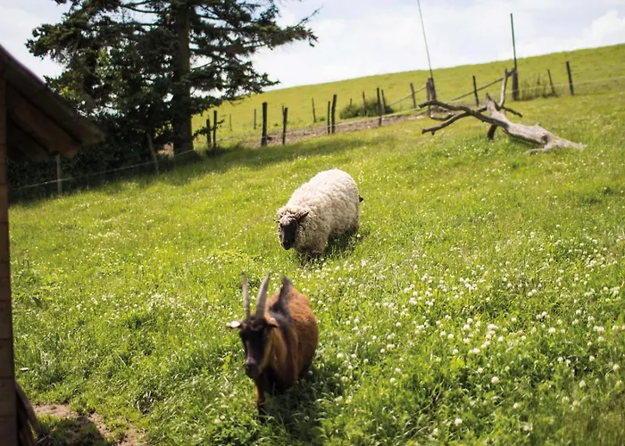 Berghof Steimel Apartment